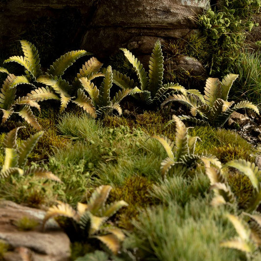 Gamers Grass Laser Plants - Deer Fern