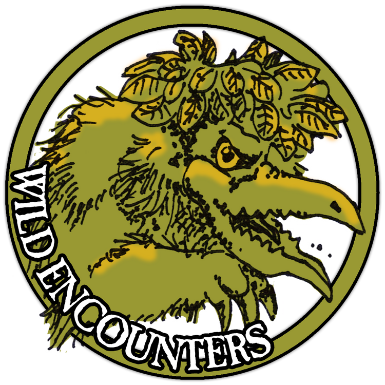Wilderness Confrontations
