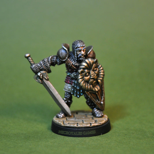 NTAV16 Grizzled Paladin