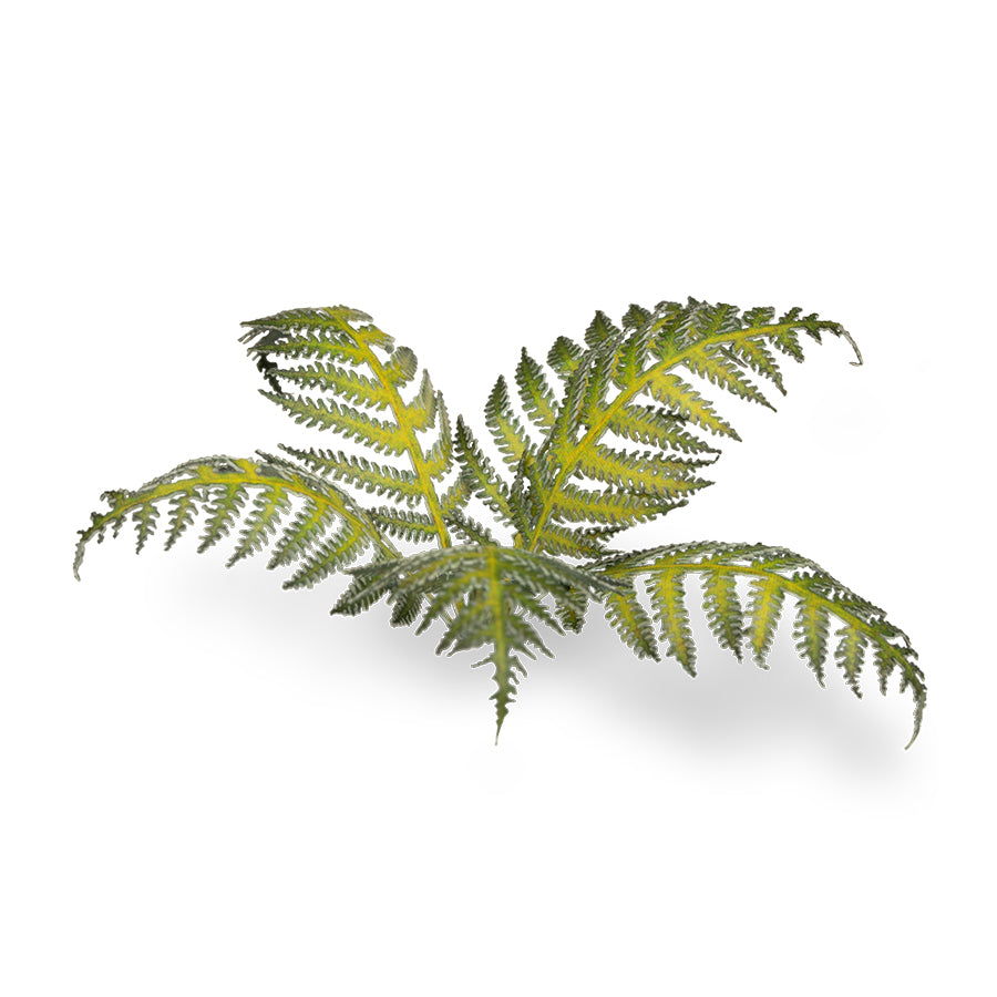 Gamers Grass Laser Plants - Bracken