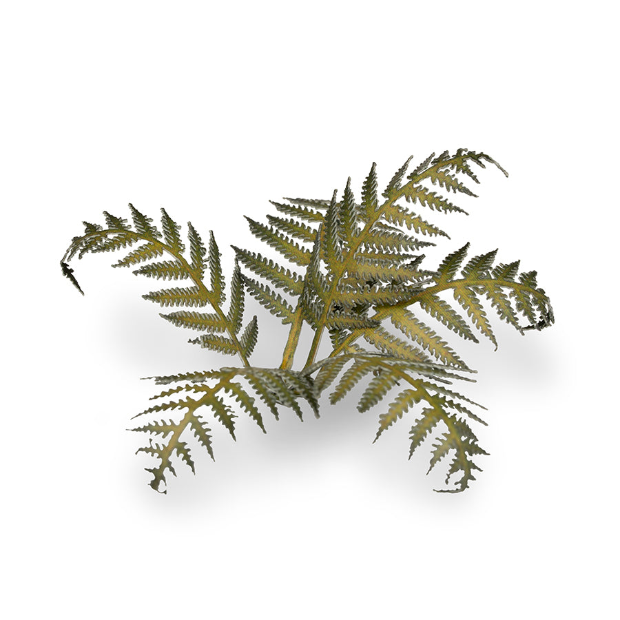 Gamers Grass Laser Plants - Bracken