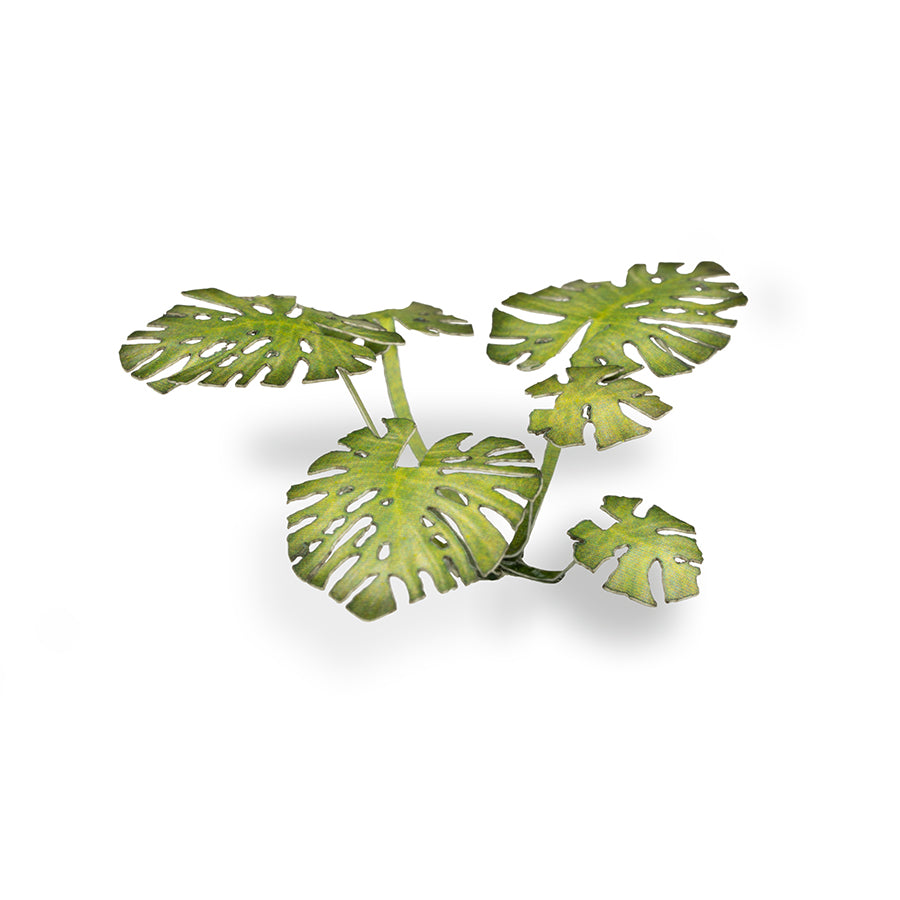 Gamers Grass Laser Plants - Monstera